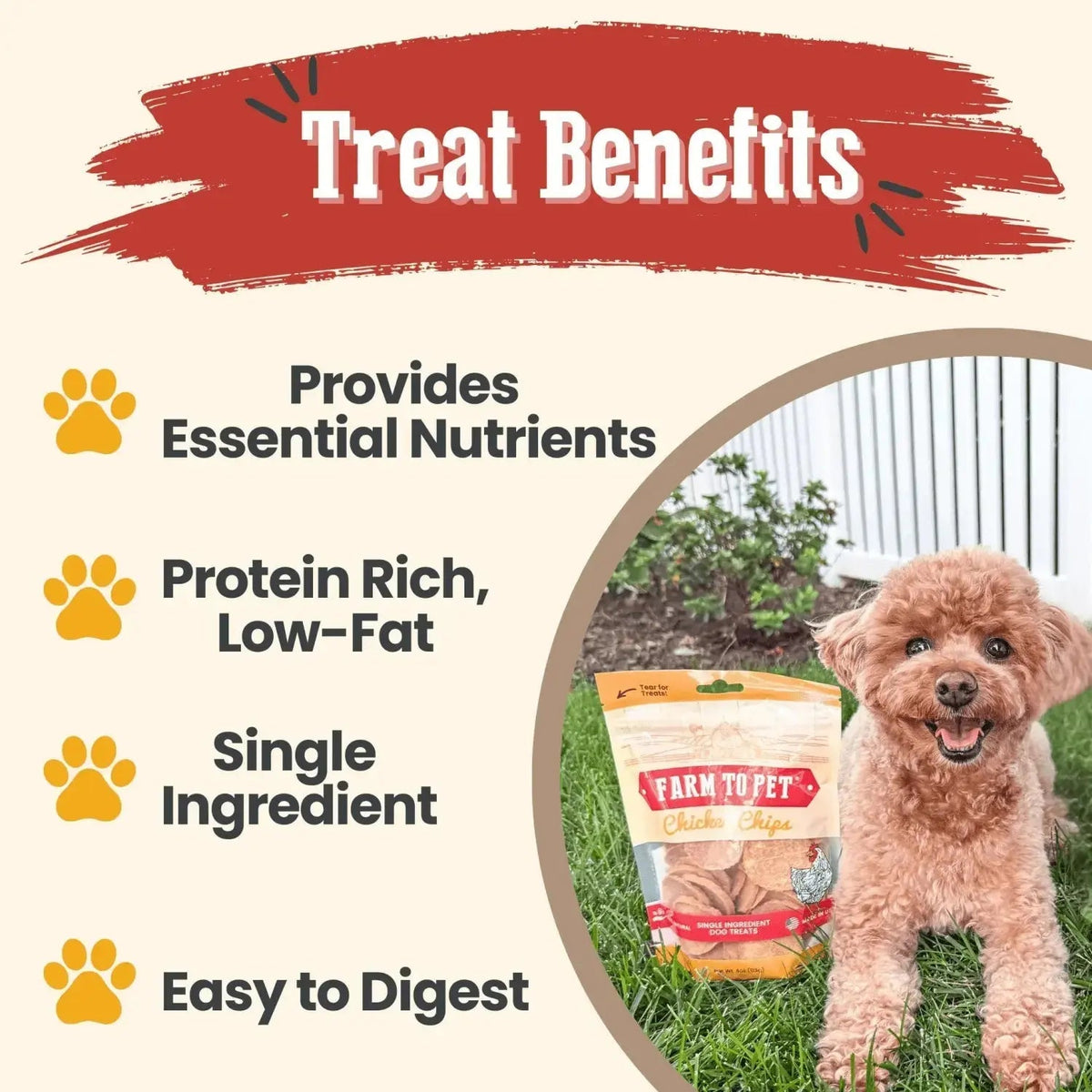 Chicken Chips for Dogs | All-Natural Single-Ingredient Dog Treats - Chip