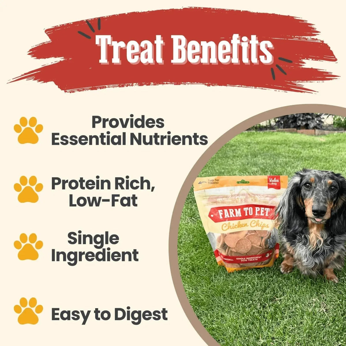 Chicken Chips for Dogs | All-Natural Single-Ingredient Dog Treats - Chip