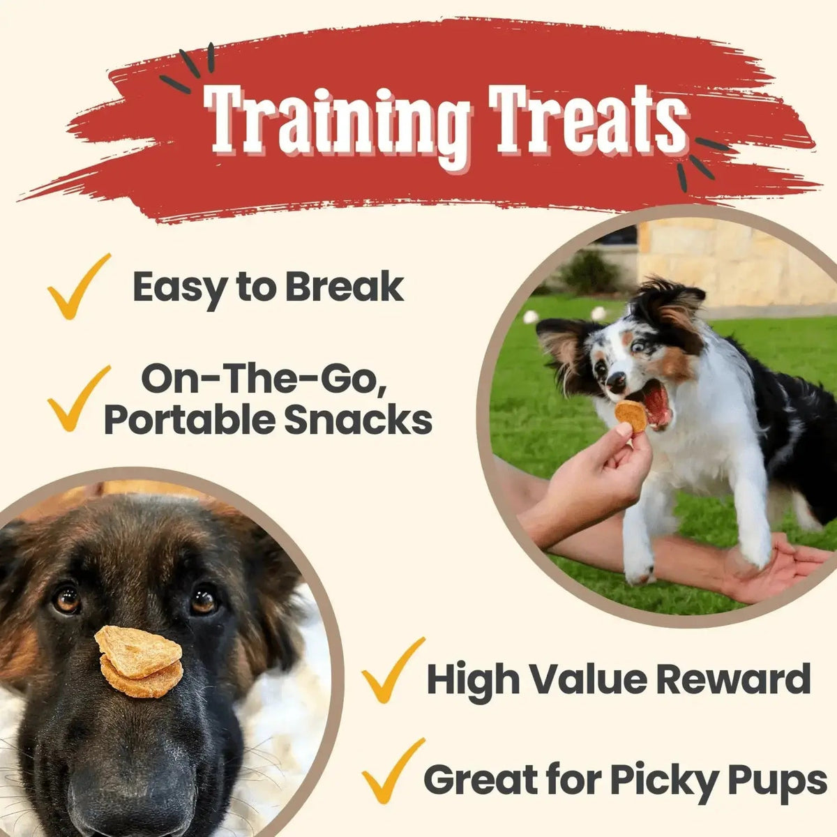 Chicken Chips for Dogs | All-Natural Single-Ingredient Dog Treats - Chip