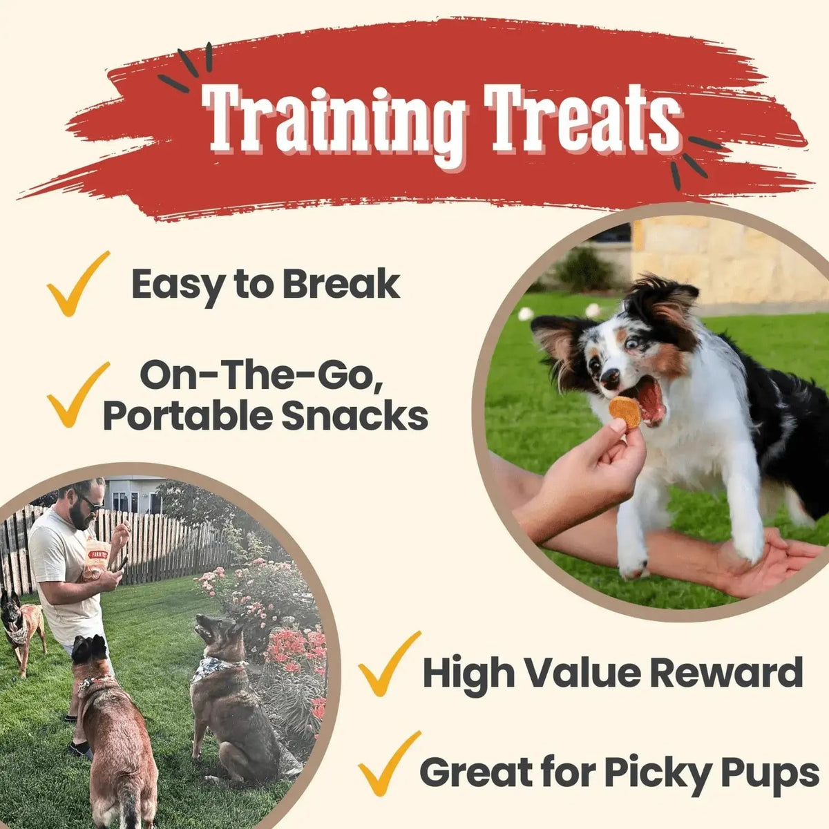 Chicken Chips for Dogs | All-Natural Single-Ingredient Dog Treats - Chip