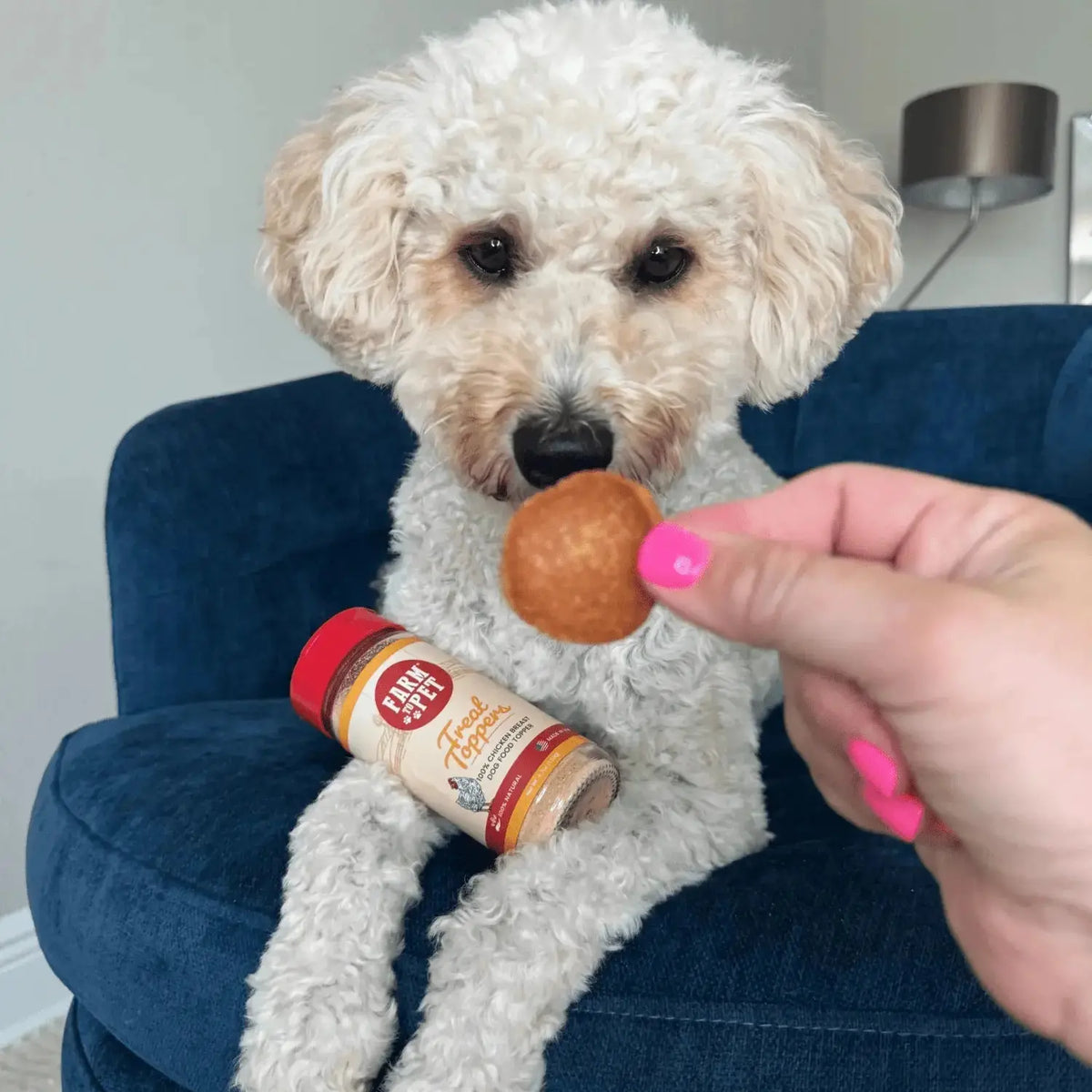 Chicken Dog Food Topper | Healthy Meal Supplement for Dogs - Topper