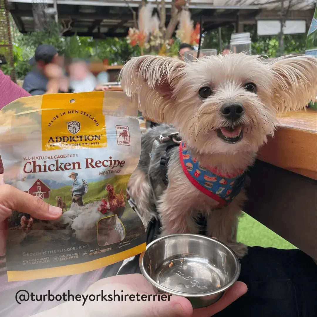Chicken Meaty Bites - Hypoallergenic Dog Treats Addiction Pet Foods USA