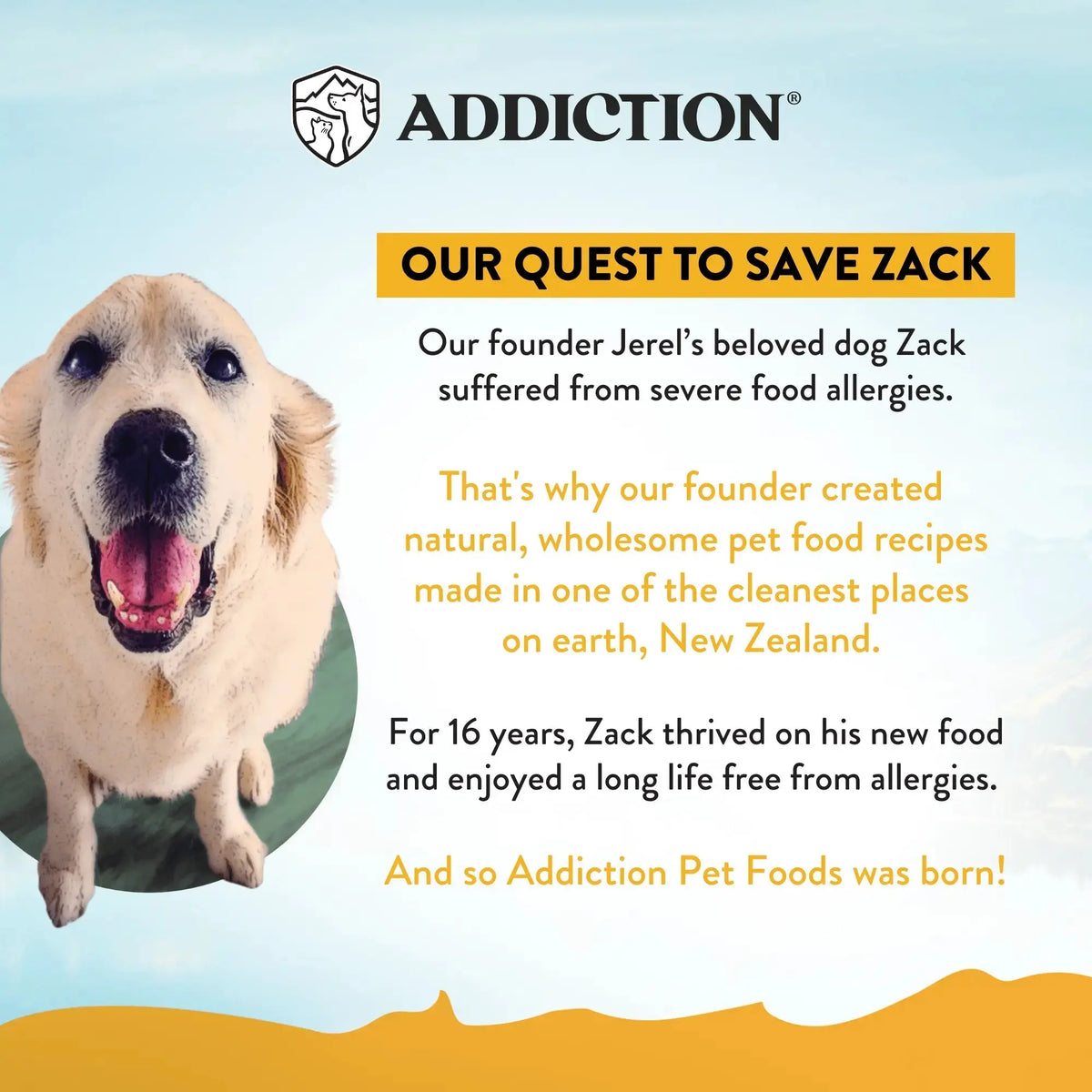 Chicken Meaty Bites - Hypoallergenic Dog Treats Addiction Pet Foods USA