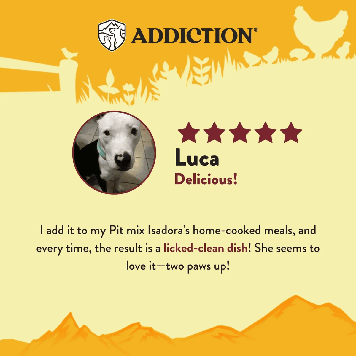 Country Chicken & Apricot Air-Dried Dog Food Addiction Pet Foods USA
