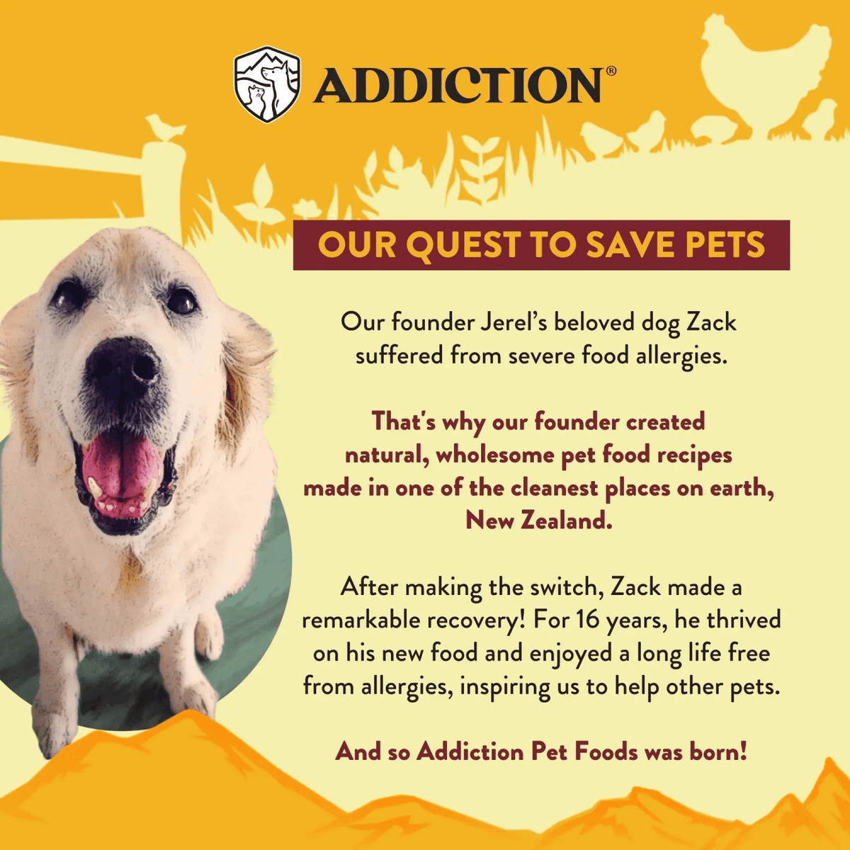 Country Chicken & Apricot Air-Dried Dog Food Addiction Pet Foods USA