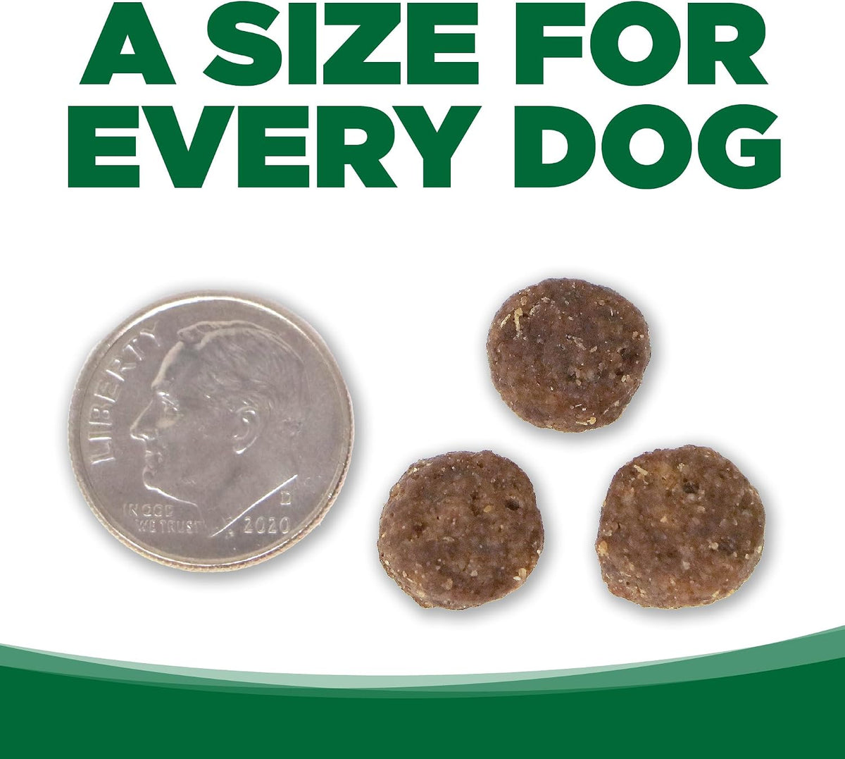 Dry Dog Food, Turkey and Rice, 4LB