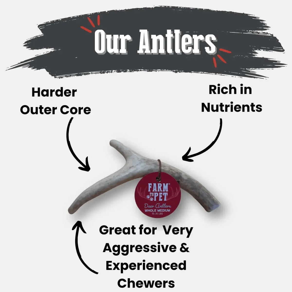 Deer Antler Dog Chews | Organic Chews for Dogs - Antler Dog Chew