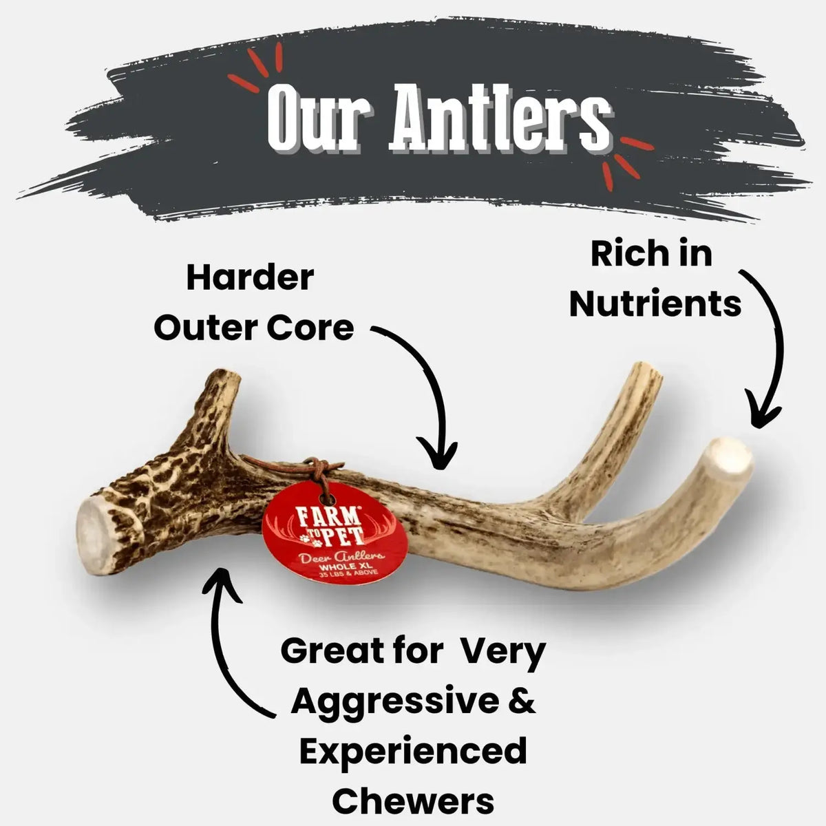 Deer Antler Dog Chews | Organic Chews for Dogs - Antler Dog Chew