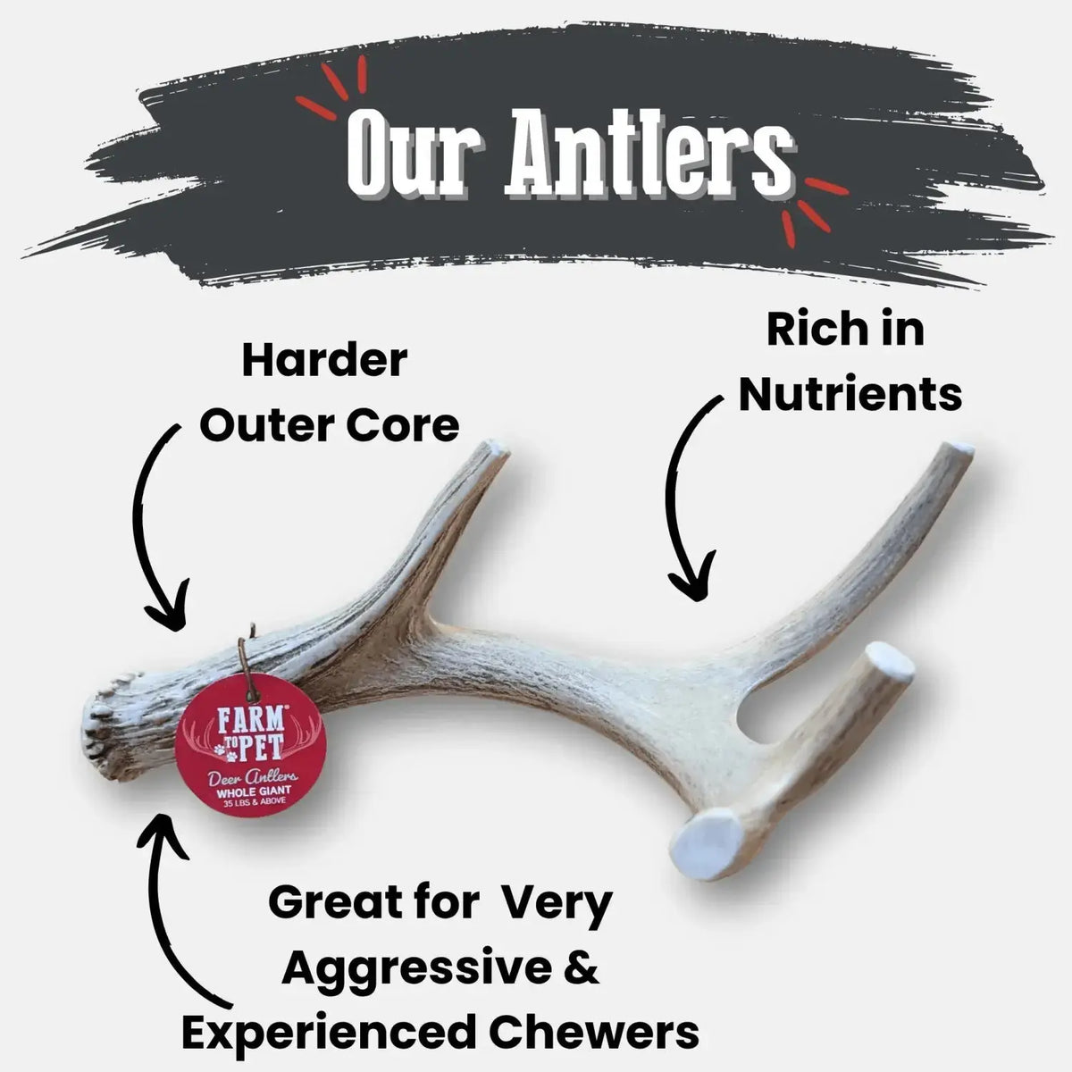 Deer Antler Dog Chews | Organic Chews for Dogs - Antler Dog Chew