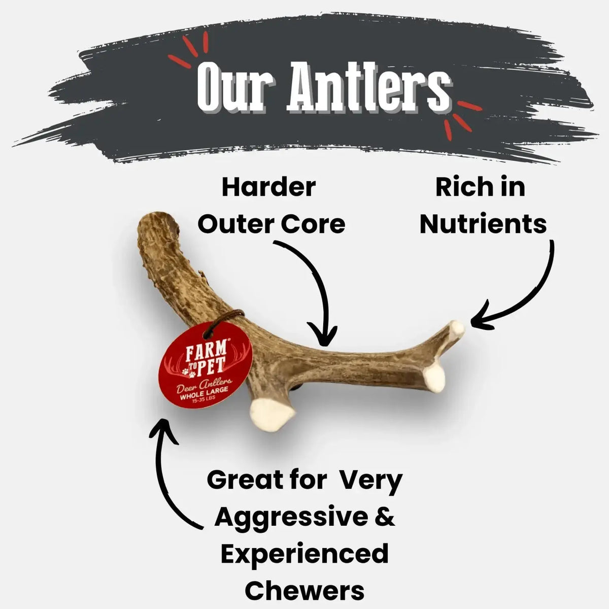 Deer Antler Dog Chews | Organic Chews for Dogs - Antler Dog Chew