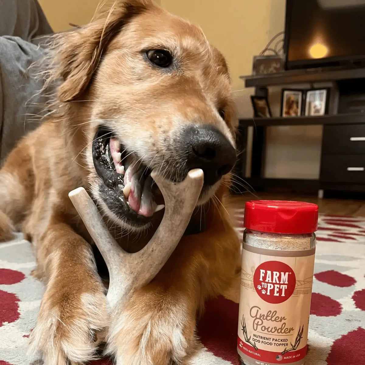 Deer Antler Dog Chews | Organic Chews for Dogs - Antler Dog Chew