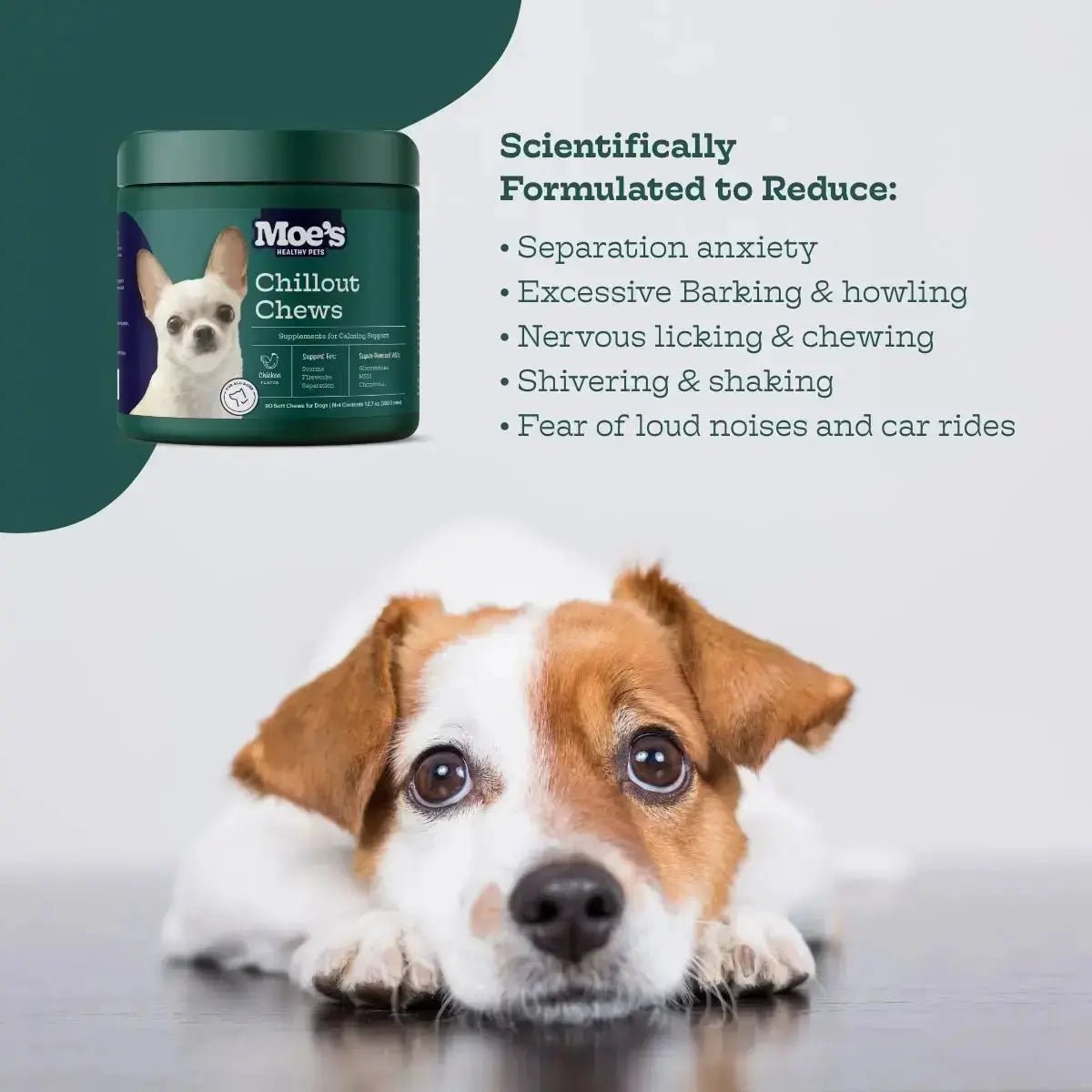 Chillout Chews - True Pet Market