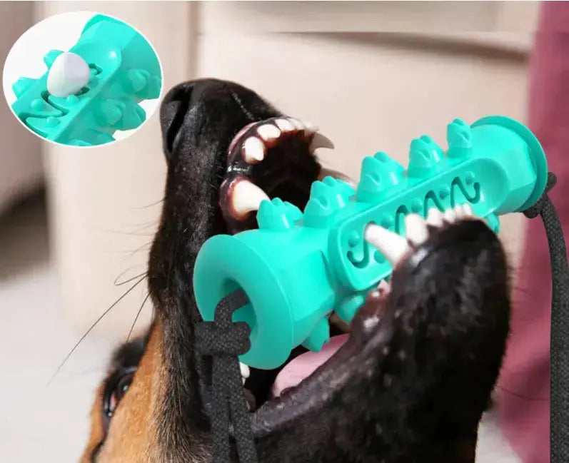 Dog Chew Toys Pet Toothbrush Rubber Bones Teeth Cleaning - Toys