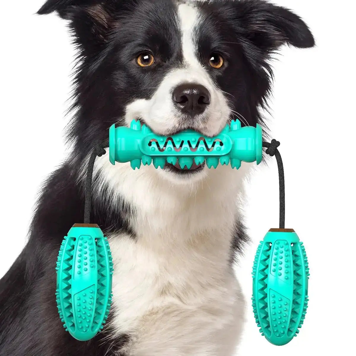 Dog Chew Toys Pet Toothbrush Rubber Bones Teeth Cleaning - Toys