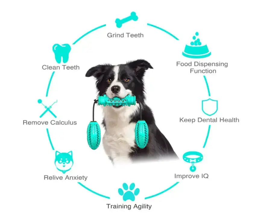 Dog Chew Toys Pet Toothbrush Rubber Bones Teeth Cleaning - Toys