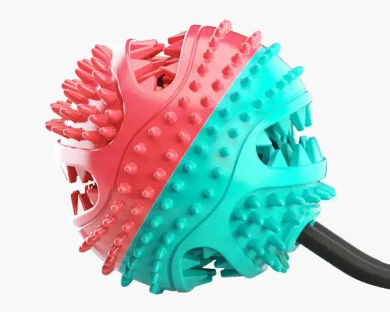 Dog Chew Toys Pet Toothbrush Rubber Bones Teeth Cleaning - Toys