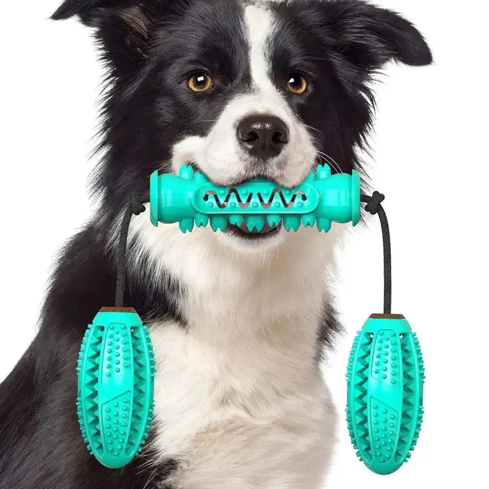 Dog Chew Toys Pet Toothbrush Rubber Bones Teeth Cleaning - Toys