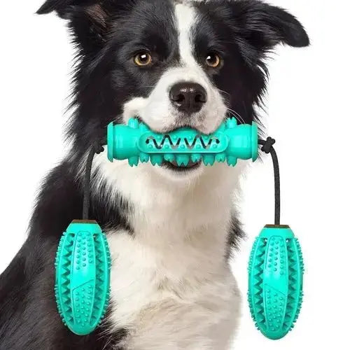 Dog Chew Toys Pet Toothbrush Rubber Bones Teeth Cleaning - Blue - Toys