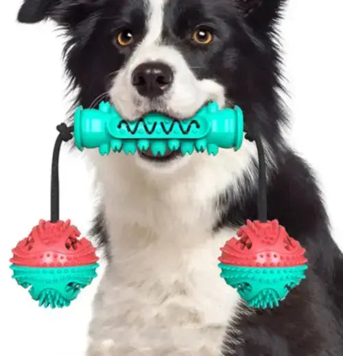 Dog Chew Toys Pet Toothbrush Rubber Bones Teeth Cleaning - Red - Toys