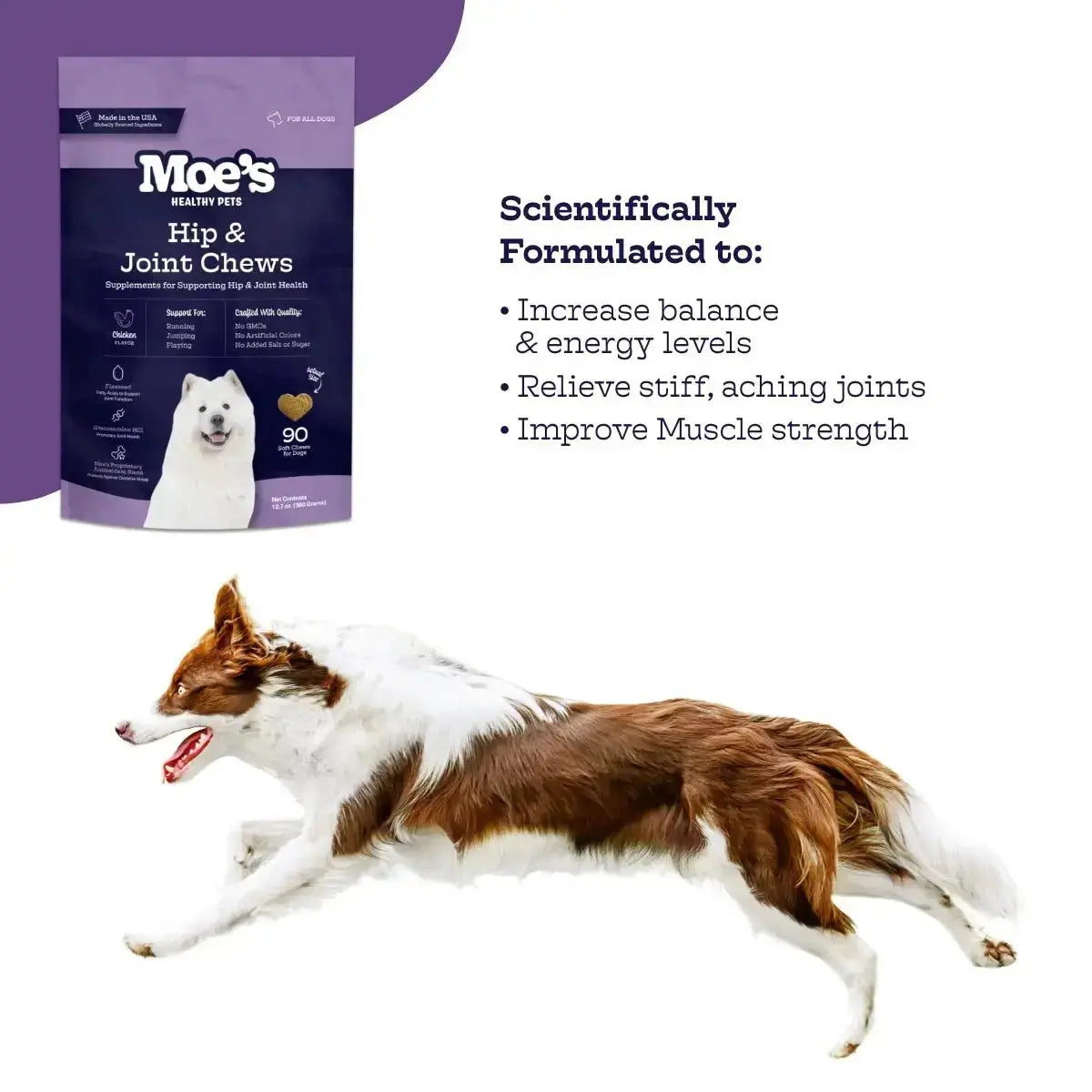 Hip & Joint Chews - True Pet Market