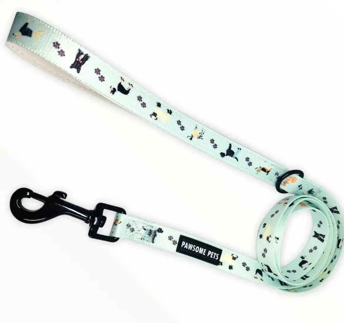 Dog Leash - DAPPER DOGGY - rope leash