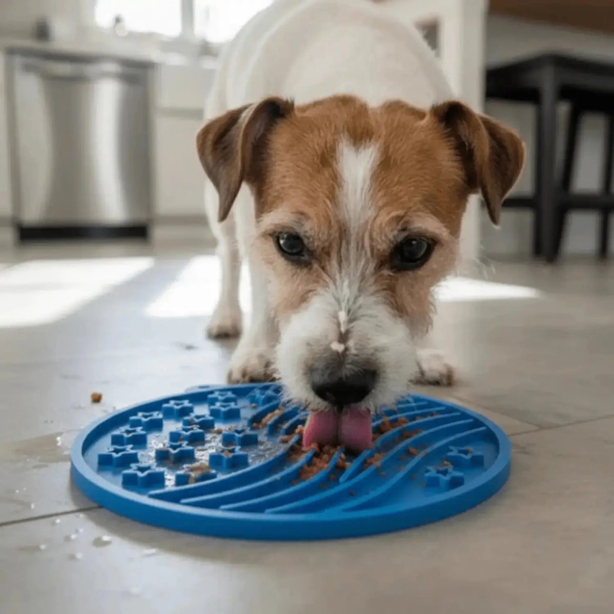 Dog Lick Mat with Suction Cups - Lick Mat