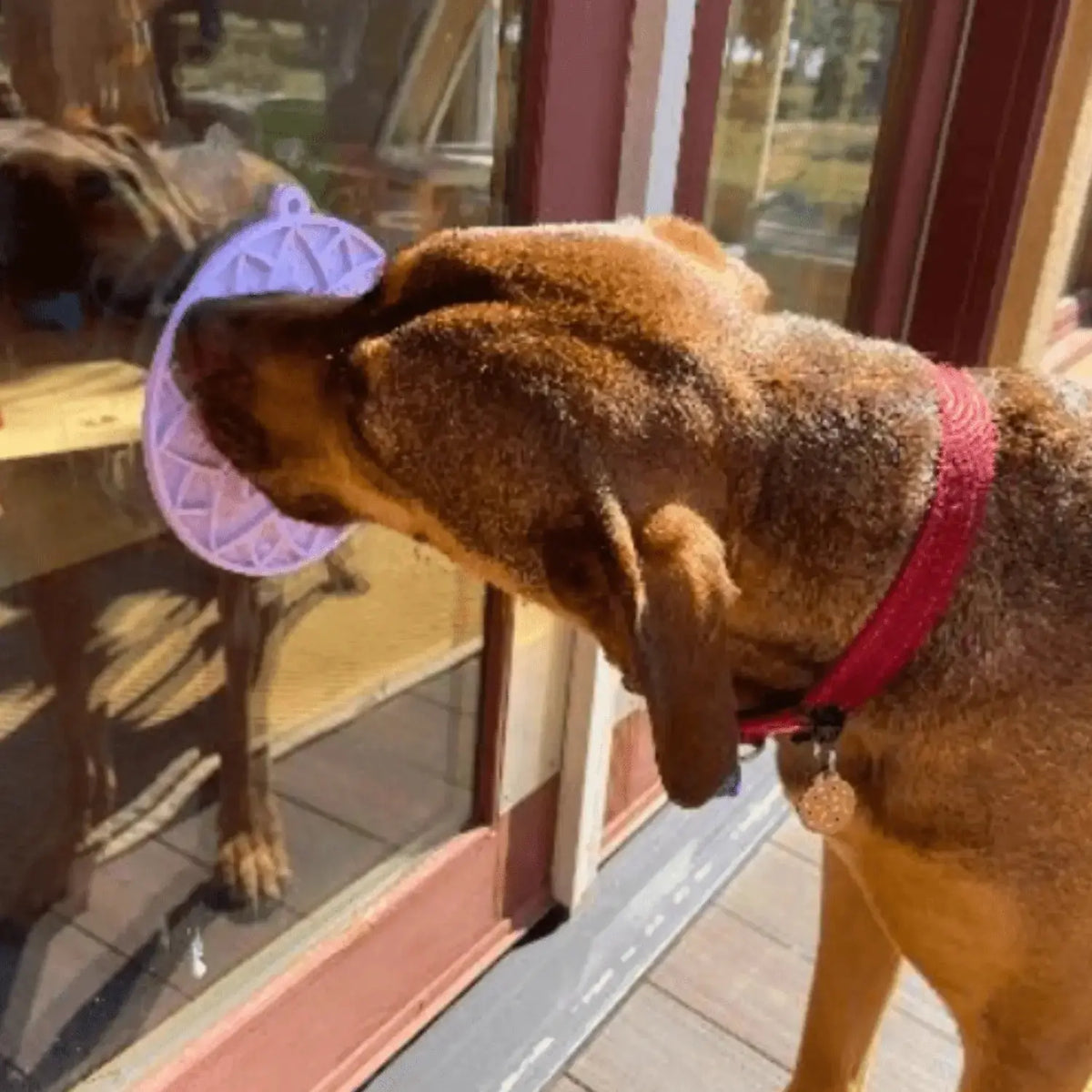 Dog Lick Mat with Suction Cups - Lick Mat