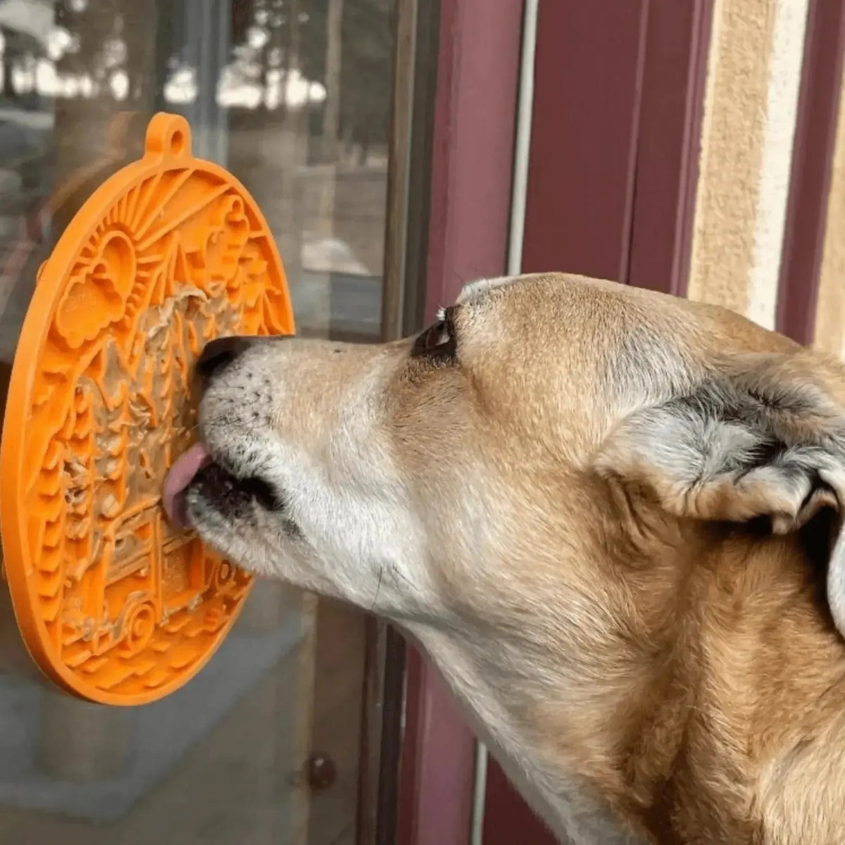 Dog Lick Mat with Suction Cups - Lick Mat