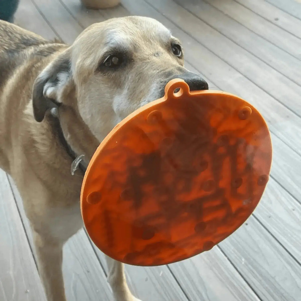 Dog Lick Mat with Suction Cups - Lick Mat