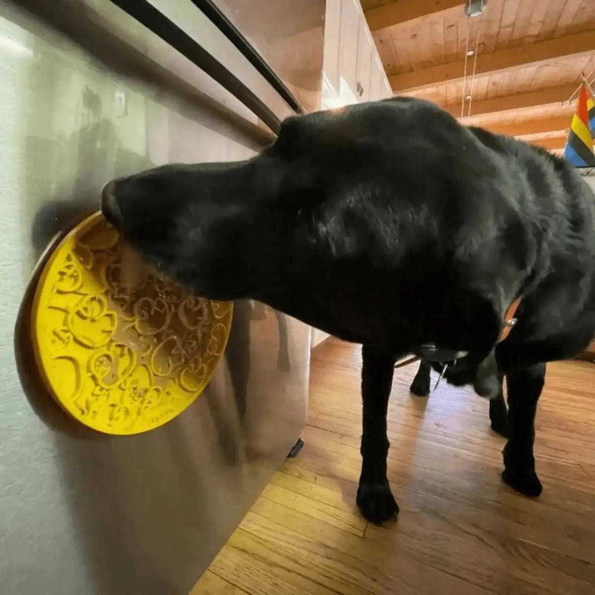 Dog Lick Mat with Suction Cups - Lick Mat