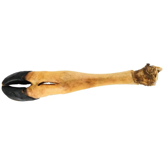 Dogginstix Beef Foot Dog Chew – Four Treats in One, Ideal for Small to Medium Dogs Jeffers