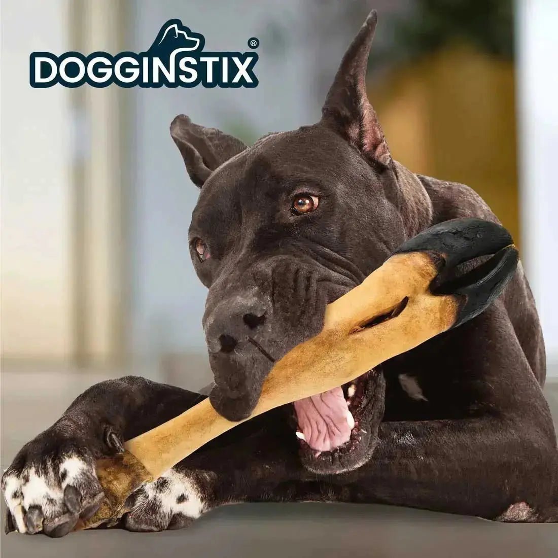 Dogginstix Beef Foot Dog Chew – Four Treats in One, Ideal for Small to Medium Dogs Jeffers