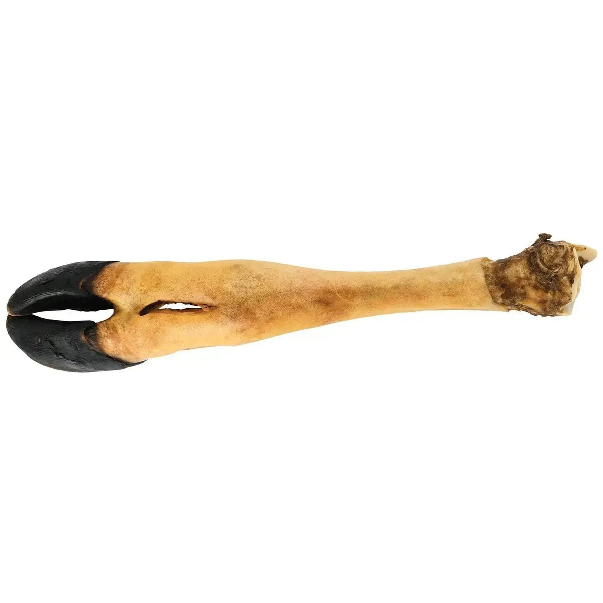 Dogginstix Beef Foot Dog Chew – Four Treats in One, Ideal for Small to Medium Dogs Jeffers