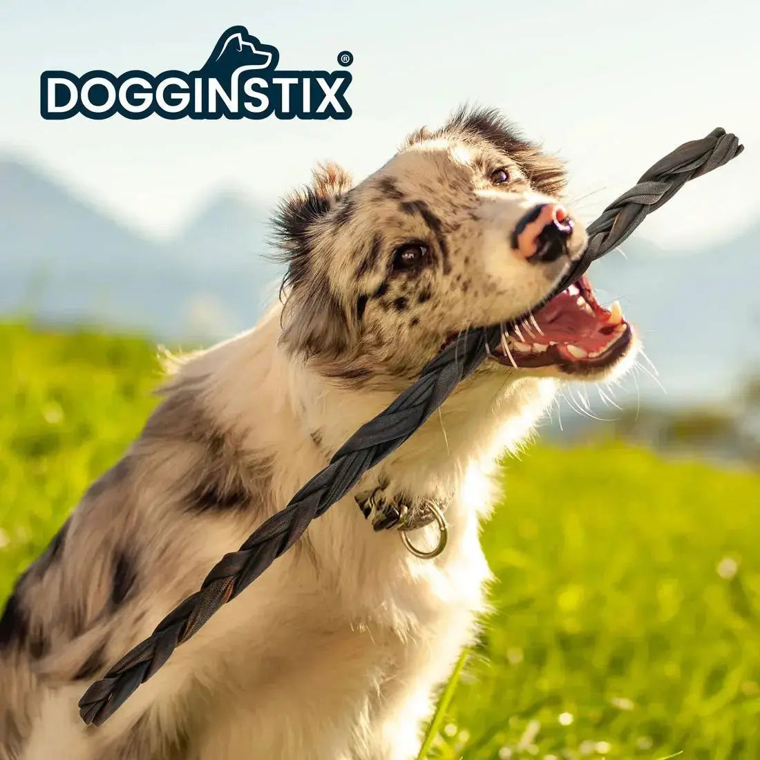 Dogginstix Braided Lamb Collagen Dog Chew – Long Lasting, Digestible, High Protein Rawhide Alternative Jeffers