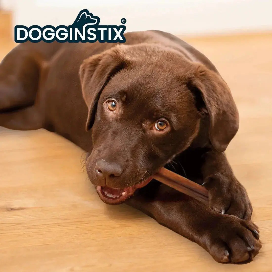 Dogginstix Bully Stick Dog Chew, All-Natural, Grass-Fed Beef, Odor-Free Jeffers