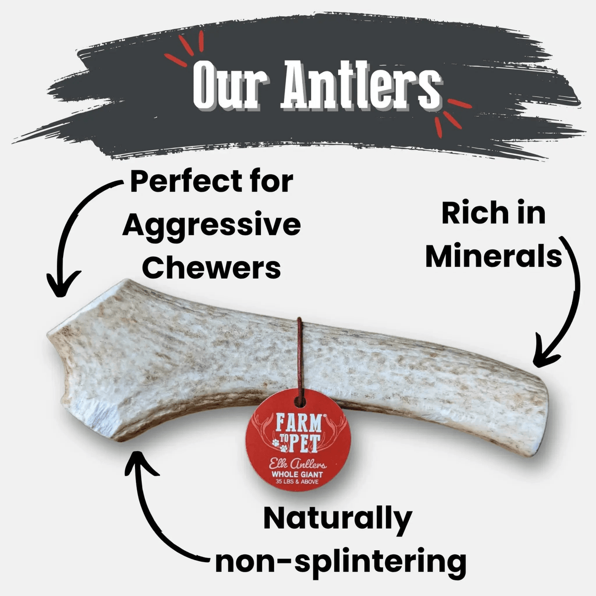 Elk Antler Dog Chews | All-Natural Whole and Split Chews for Dogs - Antler Dog Chew