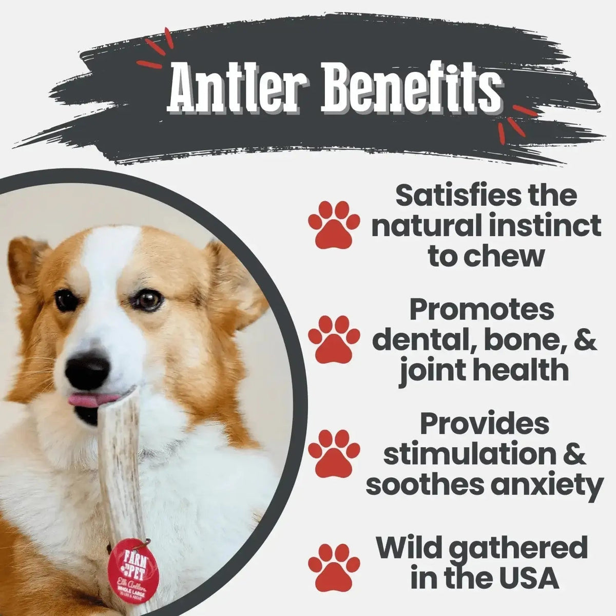 Elk Antler Dog Chews | All-Natural Whole and Split Chews for Dogs - Antler Dog Chew