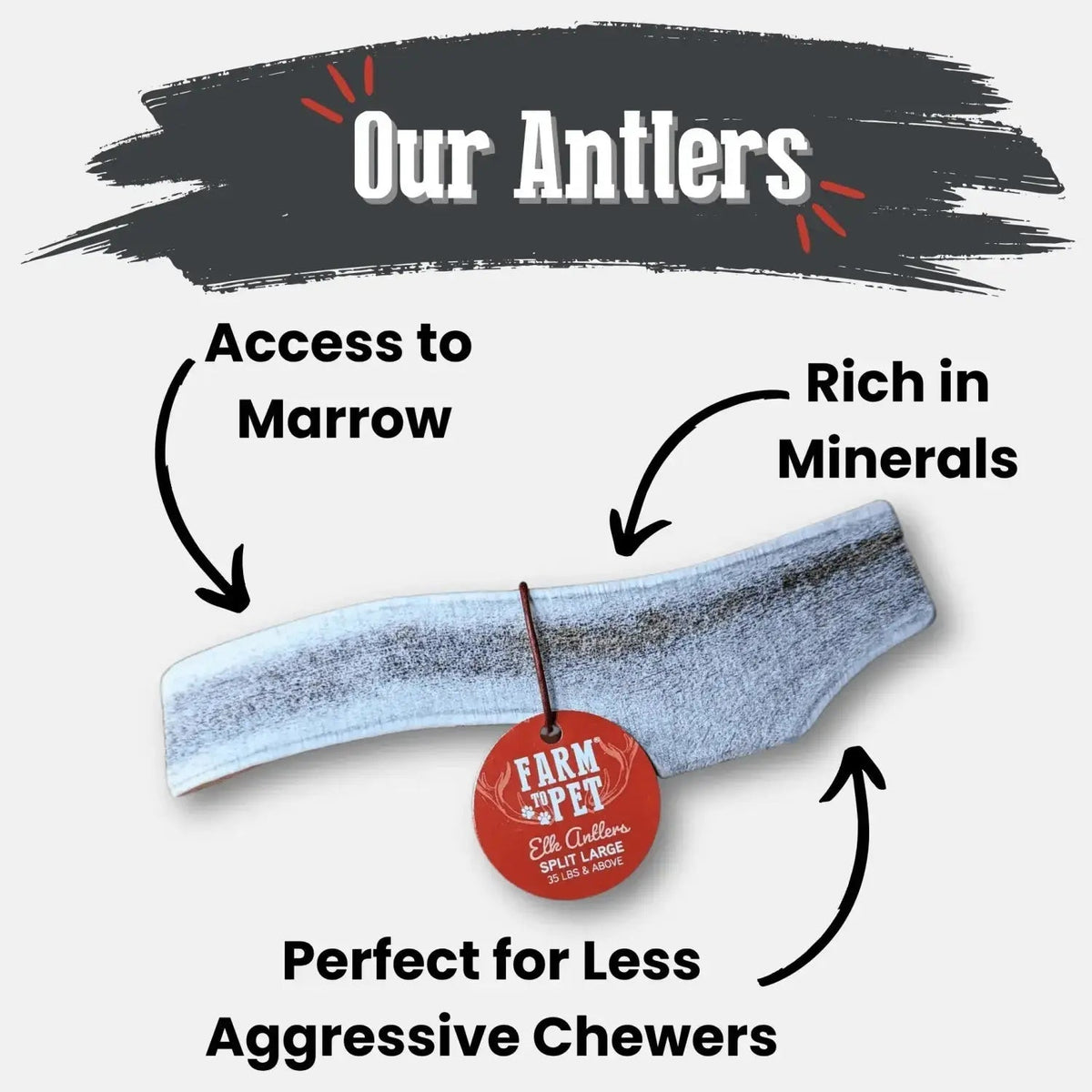 Elk Antler Dog Chews | All-Natural Whole and Split Chews for Dogs - Antler Dog Chew