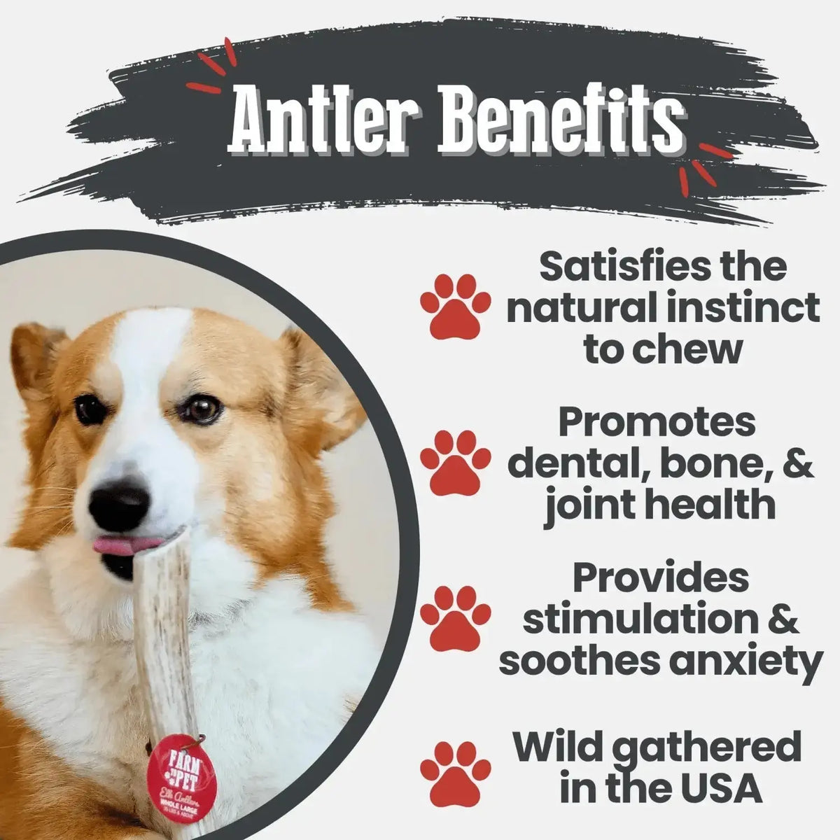 Elk Antler Dog Chews | All-Natural Whole and Split Chews for Dogs - Antler Dog Chew