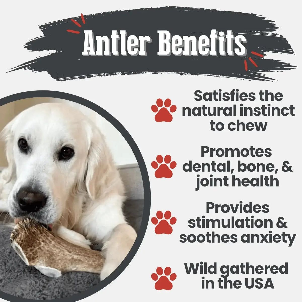Elk Antler Dog Chews | All-Natural Whole and Split Chews for Dogs - Antler Dog Chew