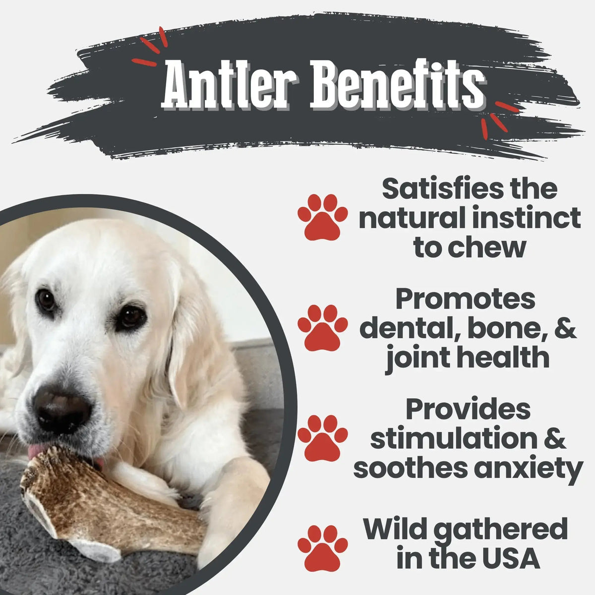 Elk Antler Dog Chews | All-Natural Whole and Split Chews for Dogs - Antler Dog Chew