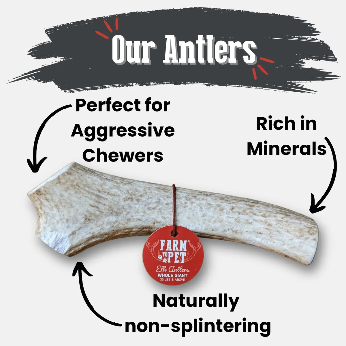 Elk Antler Dog Chews | All-Natural Whole and Split Chews for Dogs - Antler Dog Chew