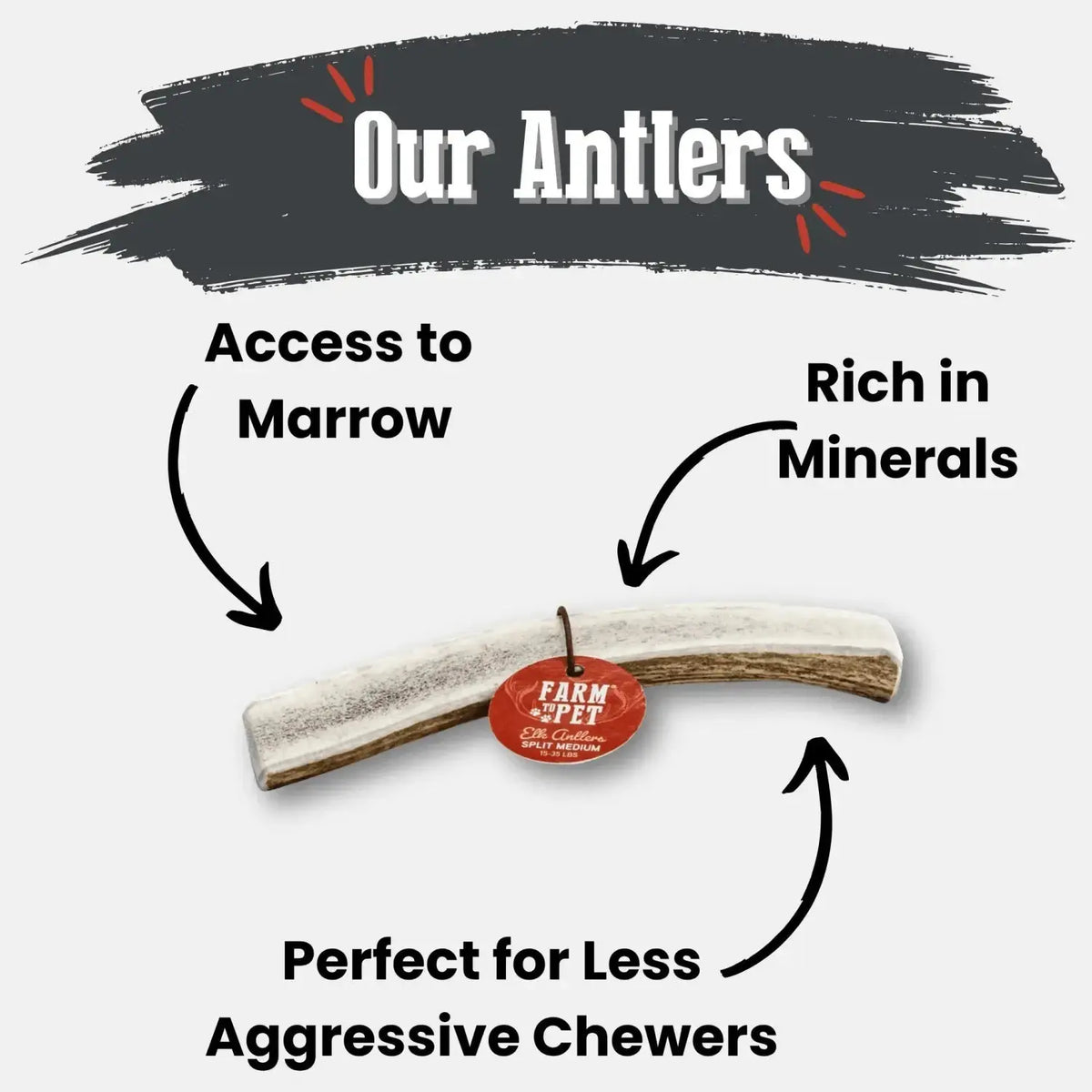Elk Antler Dog Chews | All-Natural Whole and Split Chews for Dogs - Antler Dog Chew