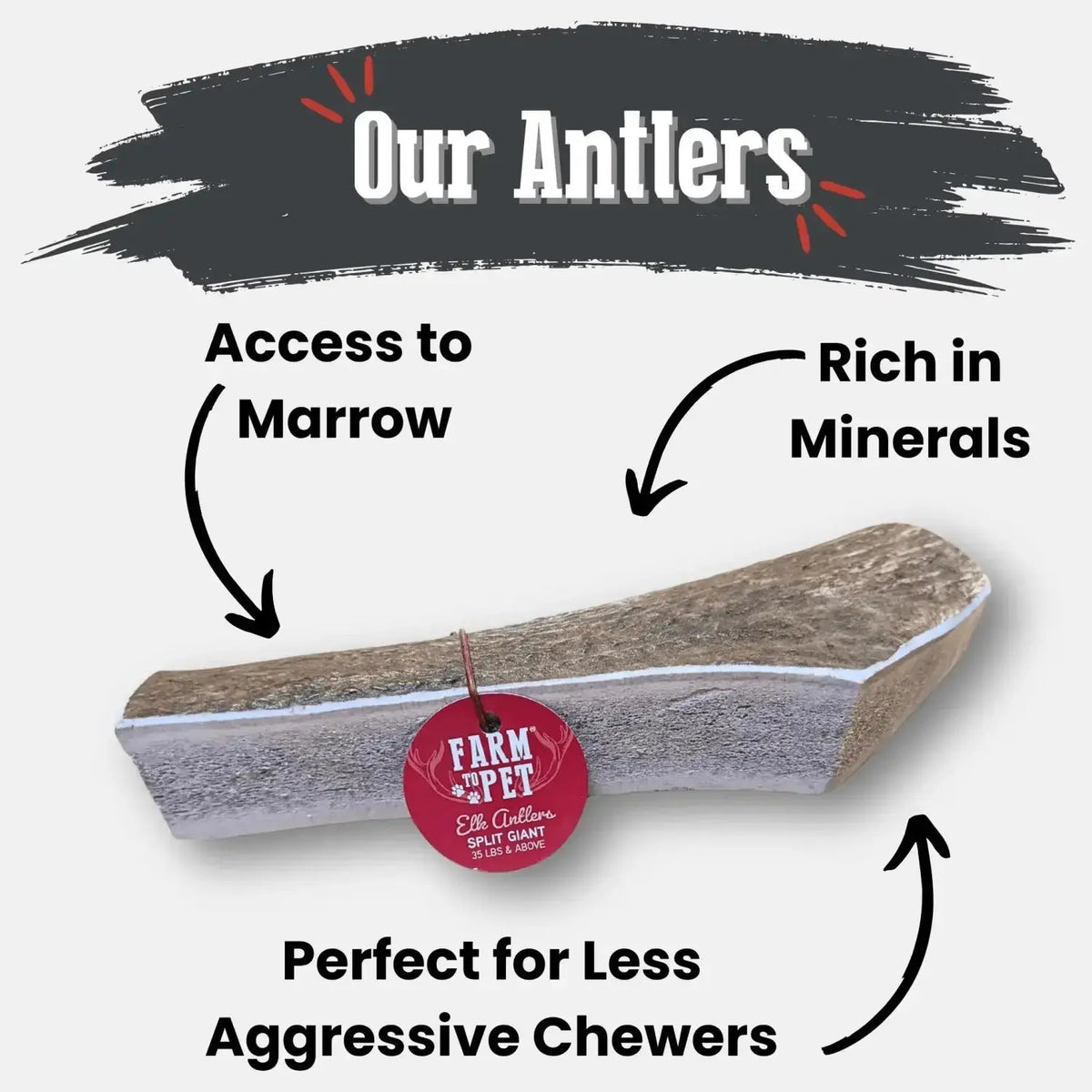 Elk Antler Dog Chews | All-Natural Whole and Split Chews for Dogs - Antler Dog Chew