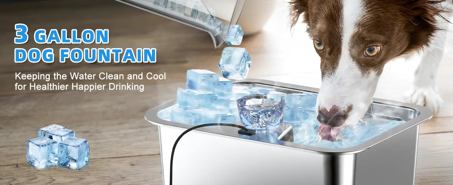 11L/3Galon Stainless Steel Pet Water Fountain with 4 Filters