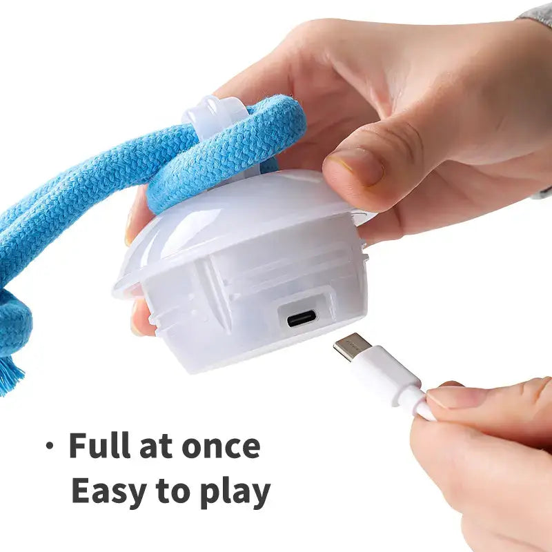 Interactive Dog Toy Ball with Motion Activation and Squeaker, for Small Dogs and Cats (2.95 × 2.95 × 4.33 in)