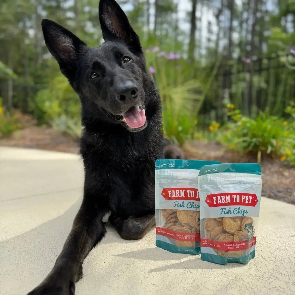 Fish Dog Treats | Wild-Caught Fish Chips for Dogs - Chip