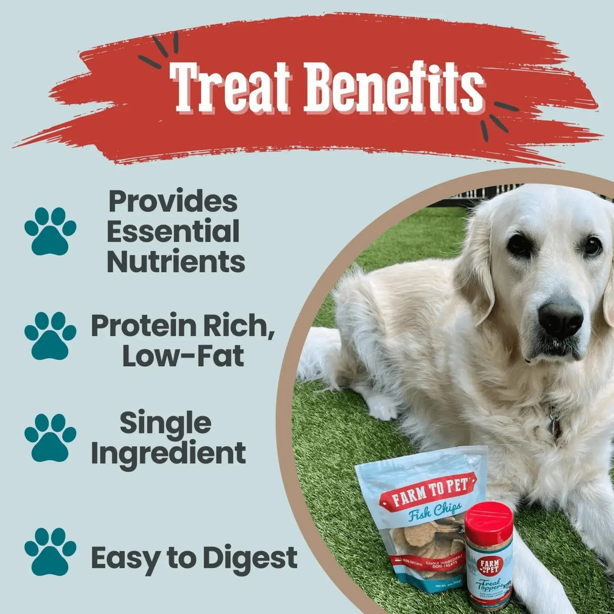 Fish Dog Treats | Wild-Caught Fish Chips for Dogs - Chip