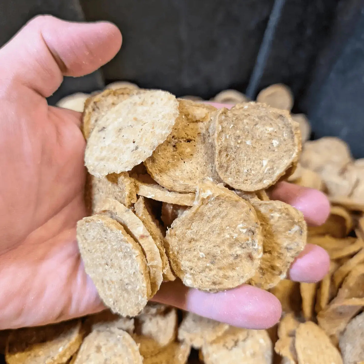 Fish Dog Treats | Wild-Caught Fish Chips for Dogs - Chip