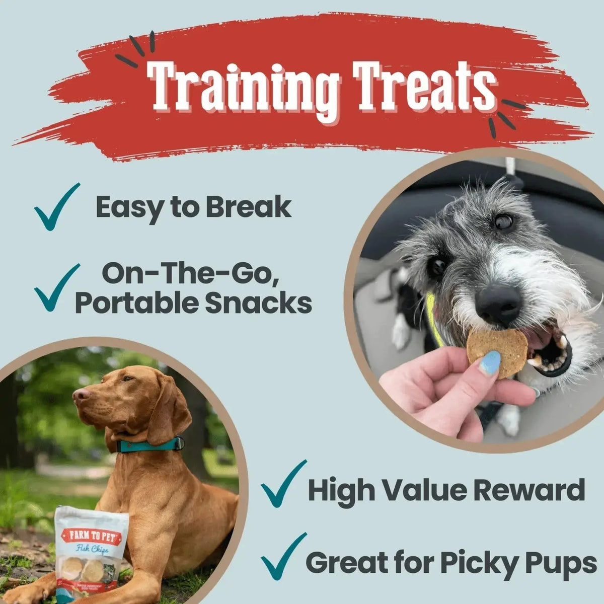 Fish Dog Treats | Wild-Caught Fish Chips for Dogs - Chip